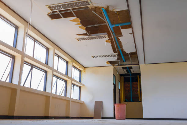 Best Flood restoration services  in Baileys Crossroads, VA