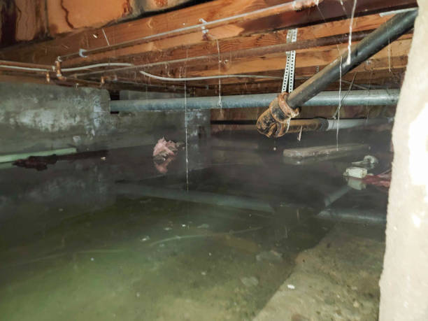 Best Water damage restoration near me  in Baileys Crossroads, VA