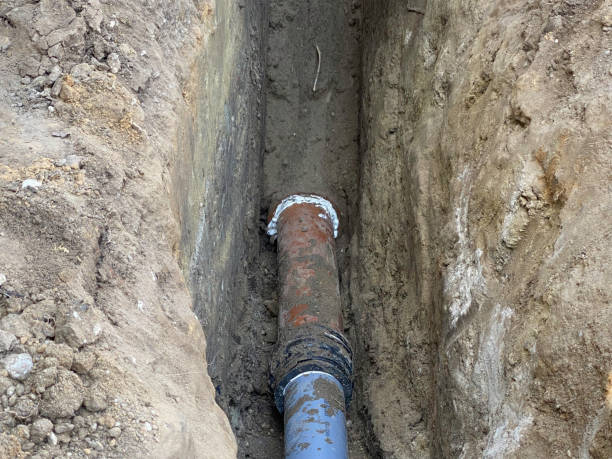 Best Flood restoration services  in Baileys Crossroads, VA