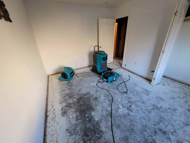 Best Sewage cleanup and water damage restoration  in Baileys Crossroads, VA