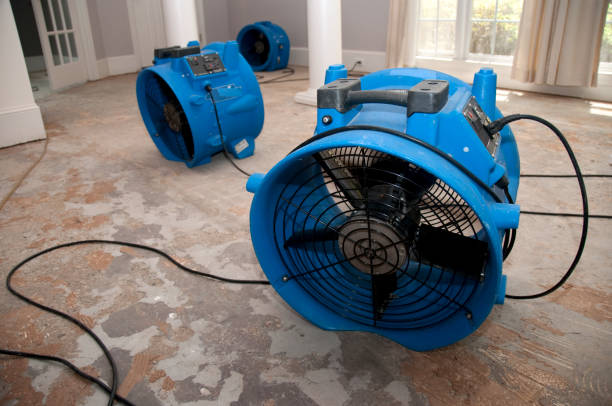 Best Emergency water damage restoration  in Baileys Crossroads, VA