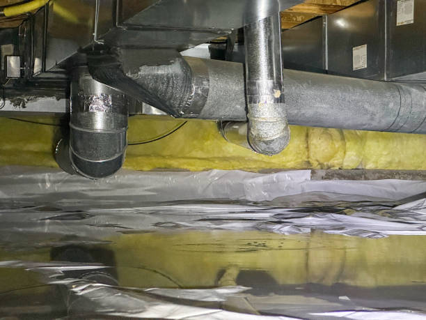 Best Professional water damage repair  in Baileys Crossroads, VA